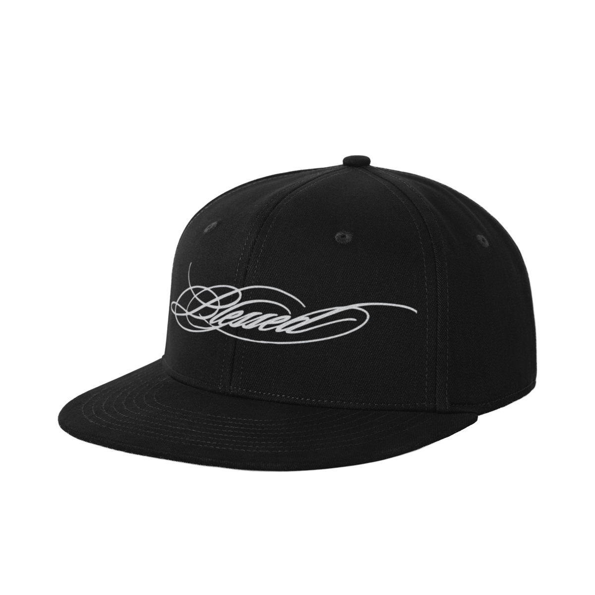 VFF vintage snapback cap – alternate view